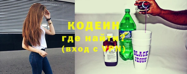амф Вяземский