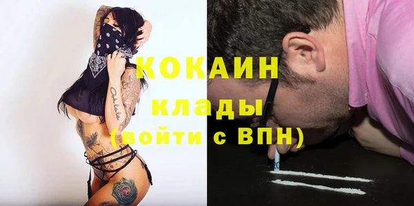 шишки Гусь-Хрустальный