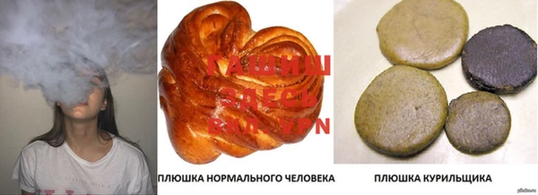 шишки Гусь-Хрустальный