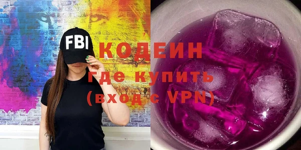 шишки Гусь-Хрустальный