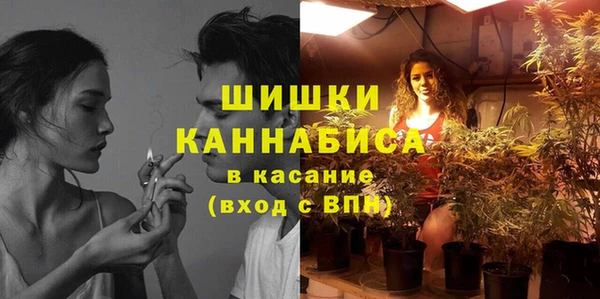 шишки Гусь-Хрустальный